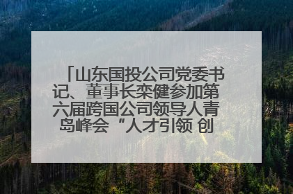 山东国投公司党委书记、董事长栾健参加第六届跨国公司领导人青岛峰会“人才引领 创新驱动”人力资源高质量发展对话会