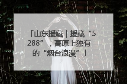 山东援藏｜援藏“5288”，高原上独有的“烟台浪漫”