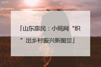 山东惠民：小绳网“织”出乡村振兴新图景