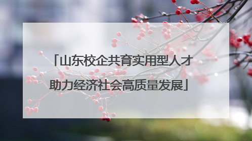 山东校企共育实用型人才 助力经济社会高质量发展