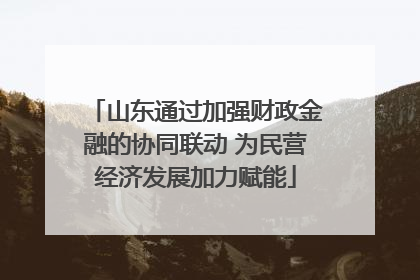 山东通过加强财政金融的协同联动 为民营经济发展加力赋能