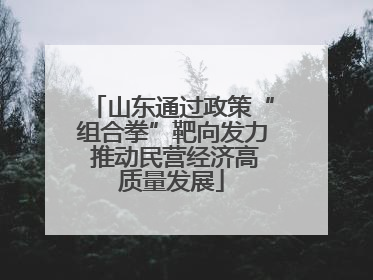 山东通过政策“组合拳”靶向发力 推动民营经济高质量发展