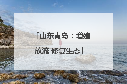 山东青岛：增殖放流 修复生态