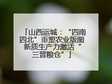 山西运城：“四南四北”重塑农业版图 新质生产力激活“三晋粮仓”