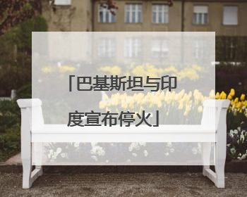 巴基斯坦与印度宣布停火