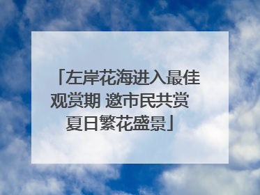 左岸花海进入最佳观赏期 邀市民共赏夏日繁花盛景
