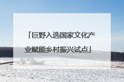 巨野入选国家文化产业赋能乡村振兴试点
