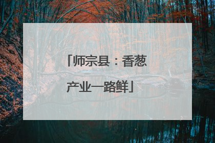 师宗县：香葱产业一路鲜