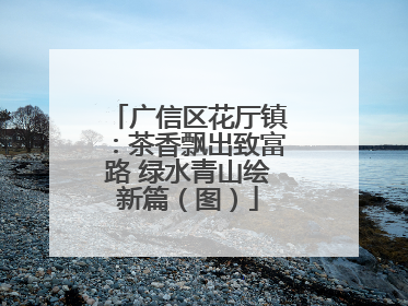 广信区花厅镇：茶香飘出致富路 绿水青山绘新篇（图）