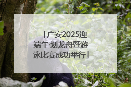 广安2025迎端午·划龙舟暨游泳比赛成功举行