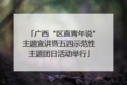 广西“区直青年说”主题宣讲暨五四示范性主题团日活动举行