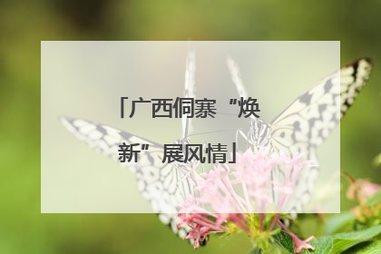广西侗寨“焕新”展风情