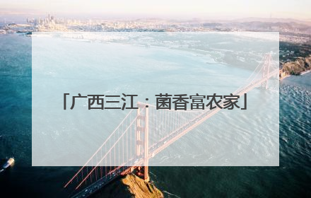 广西三江：菌香富农家