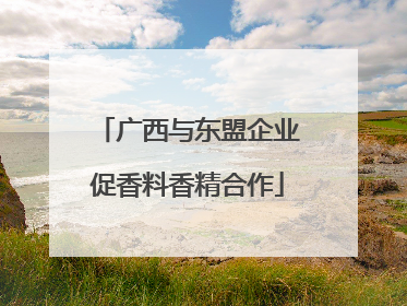 广西与东盟企业促香料香精合作