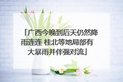 广西今晚到后天仍然降雨连连 桂北等地局部有大暴雨并伴强对流