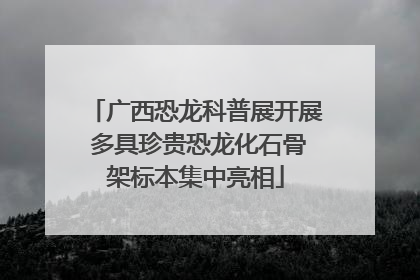 广西恐龙科普展开展 多具珍贵恐龙化石骨架标本集中亮相