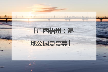广西梧州：湿地公园夏景美