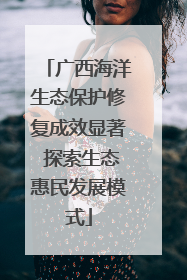 广西海洋生态保护修复成效显著 探索生态惠民发展模式