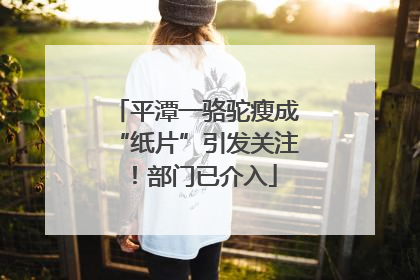 平潭一骆驼瘦成“纸片”引发关注！部门已介入