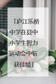 庐江乐桥中学在县中小学生智力运动会中斩获佳绩