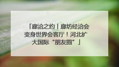 廊洽之约丨廊坊经洽会变身世界会客厅！河北扩大国际“朋友圈”