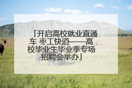 开启高校就业直通车 枣工快道——高校毕业生毕业季专场招聘会举办
