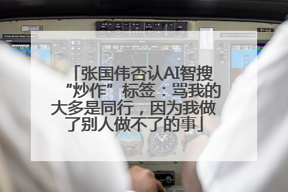张国伟否认AI智搜“炒作”标签：骂我的大多是同行，因为我做了别人做不了的事