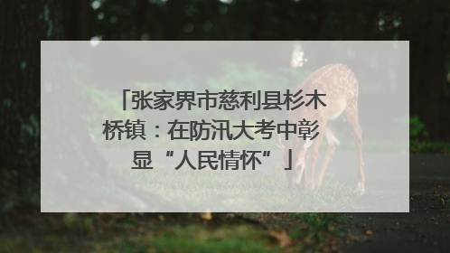 张家界市慈利县杉木桥镇：在防汛大考中彰显“人民情怀”