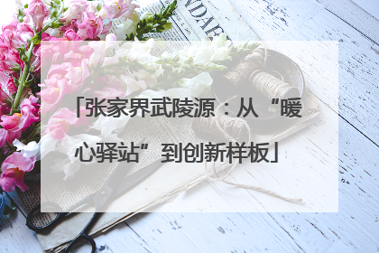 张家界武陵源：从“暖心驿站”到创新样板