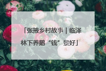 张掖乡村故事｜临泽林下养鹅“钱”景好