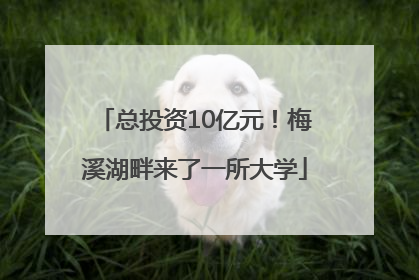 总投资10亿元！梅溪湖畔来了一所大学