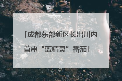 成都东部新区长出川内首串“蓝精灵”番茄