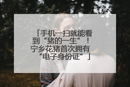 手机一扫就能看到“猪的一生”！宁乡花猪首次拥有“电子身份证”