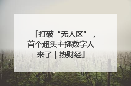 打破“无人区”，首个超头主播数字人来了｜热财经