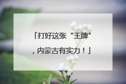 打好这张“王牌”，内蒙古有实力！