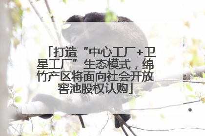 打造“中心工厂+卫星工厂”生态模式，绵竹产区将面向社会开放窖池股权认购