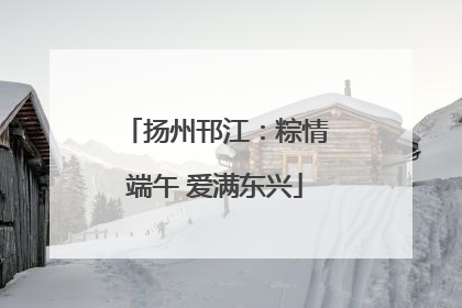 扬州邗江：粽情端午 爱满东兴
