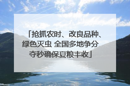 抢抓农时、改良品种、绿色灭虫 全国多地争分夺秒确保夏粮丰收