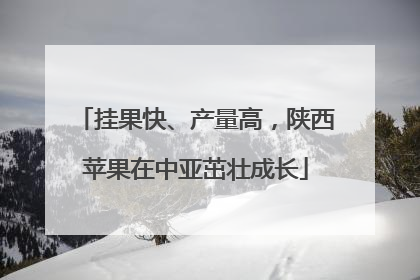 挂果快、产量高，陕西苹果在中亚茁壮成长