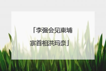 李强会见柬埔寨首相洪玛奈