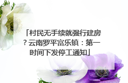 村民无手续就强行建房？云南罗平富乐镇：第一时间下发停工通知