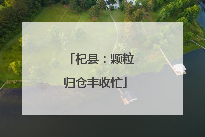 杞县：颗粒归仓丰收忙