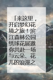 来这里，开启梦幻花境之旅！滨江森林公园绣球花展邀你共赴一场与云朵、花儿的浪漫之约