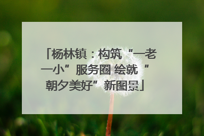 杨林镇：构筑“一老一小”服务圈 绘就“朝夕美好”新图景