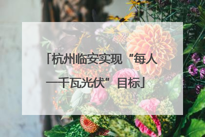 杭州临安实现“每人一千瓦光伏”目标