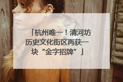 杭州唯一！清河坊历史文化街区再获一块“金字招牌”