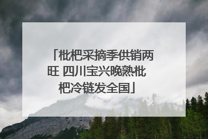 枇杷采摘季供销两旺 四川宝兴晚熟枇杷冷链发全国