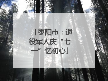 枣阳市：退役军人庆“七一”忆初心