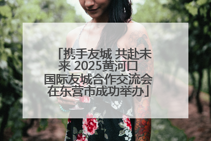 携手友城 共赴未来 2025黄河口国际友城合作交流会在东营市成功举办