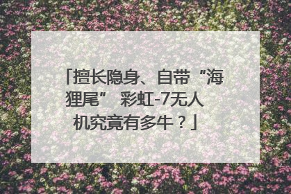 擅长隐身、自带“海狸尾” 彩虹-7无人机究竟有多牛？